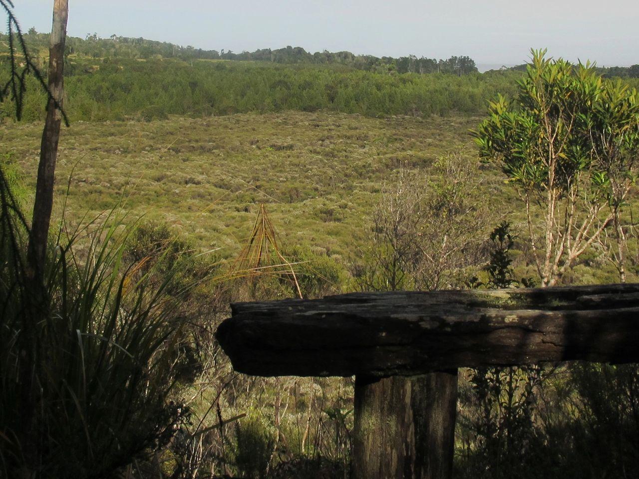 Charleston Beaconstone - Off Grid Retreatヴィラ エクステリア 写真